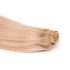 Clip-In Human Hair Extension Classic Ash Light Bleach Blonde 40cm Color #60ASH - HairExtensionShop.ie