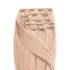 Clip-In Human Hair Extension Classic Ash Light Bleach Blonde 50cm Color #60ASH - HairExtensionShop.ie