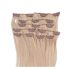 Clip In Hair Extension Ash Blonde 60cm (Color #24)