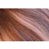 Micro Ring Extension Balayage Golden Blonde - Brown 50cm (Color #4T8/18C)