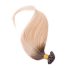 U-TIP Hair Extension Ombre 50cm (Color #OMBRE)