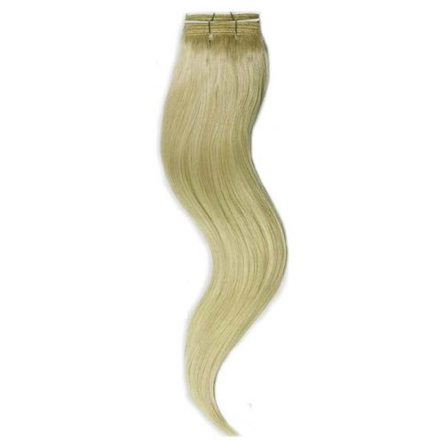 Remy Weft Hair Extension Ash Blonde 50cm (Color #24)