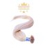 Premium U-Tip Hair Extension Platinum Blonde 50cm Colour #613 - Nail Tip Keratin Bonding Hair for Salon-Length Results