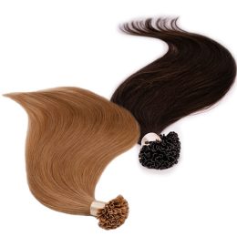 Remy U-Tip Hair (Classic Quality)